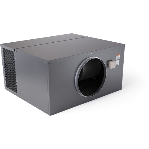 Est19h R Transparent